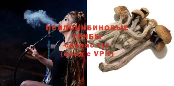 спайс Бородино