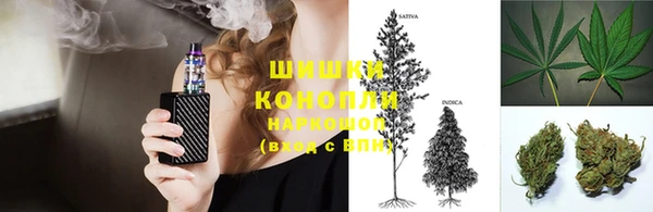 гидропоника Бугульма